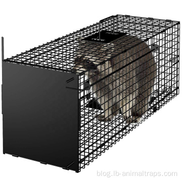 Humane Live Animal Trap Catch Release Cage